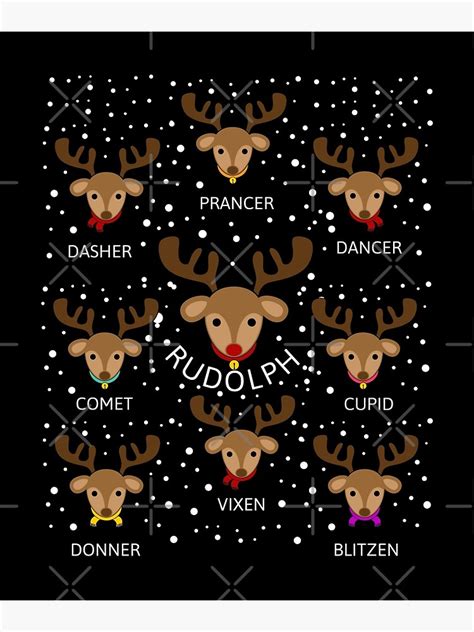 reindeer names  order stickhealthcarecouk