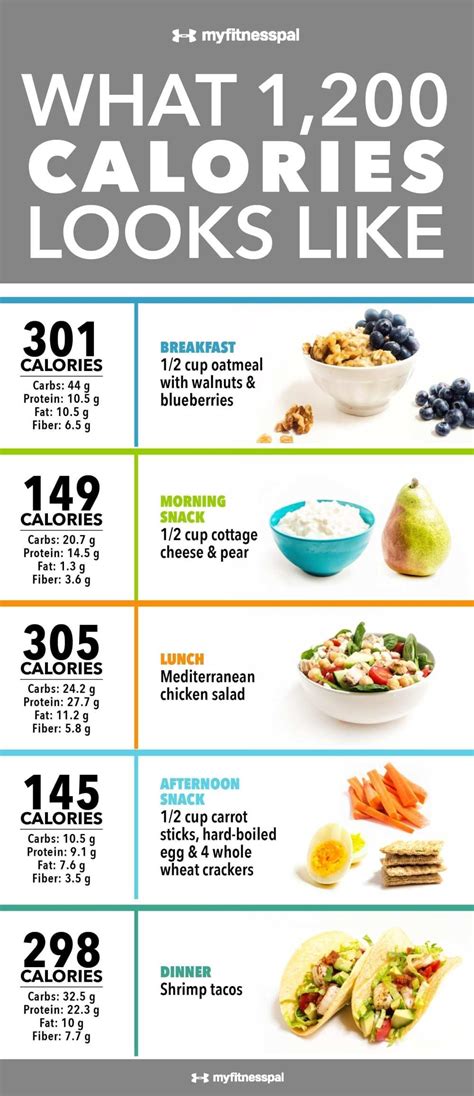 dr nowzaradan diet plan  complete guide eat move