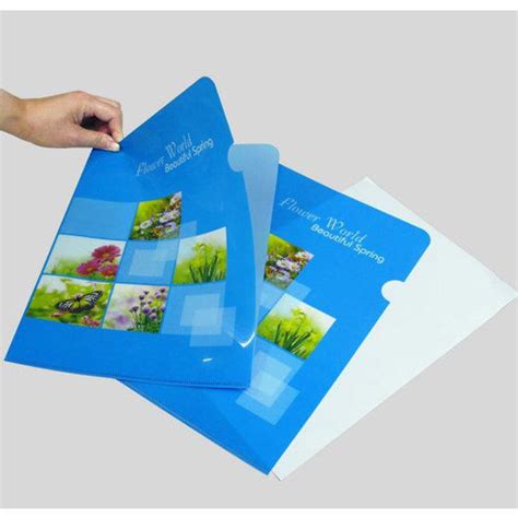 urgent clear pp  shape folder printing service singapore