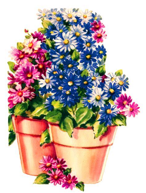 antique images daisy flower pot  digital botanical art clip art