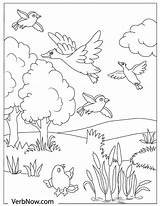 Flying Flock Verbnow sketch template
