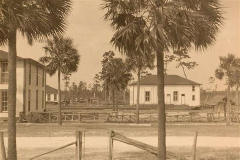 silent film history jacksonvilles norman studios