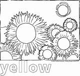 Baby Einstein Coloring Pages Book Printable Popular Getdrawings Drawing sketch template