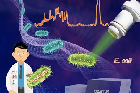 study reveals   coli cells evade antibacterial treatment