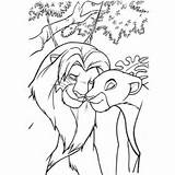 Lioness Lion Pages Coloring Drawing Anime Getdrawings sketch template