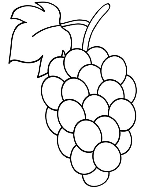 grape coloring pages coloring pages    print