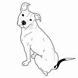 Pitbull Ears Floppy Staffordshire Line Clip Staffy Animal sketch template