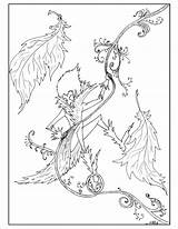 Coloring Fairy sketch template