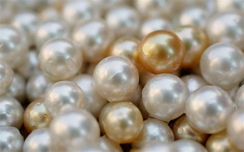 pearls bi products clipper pearls