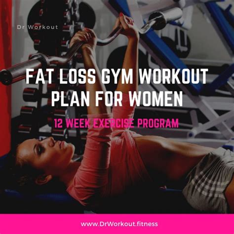 Fat Loss Gym Workout Plan For Women 12 Week Exercise Program Dr Workout