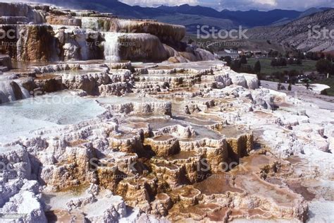 mammoth hot springs yellowstone national park wyoming showing