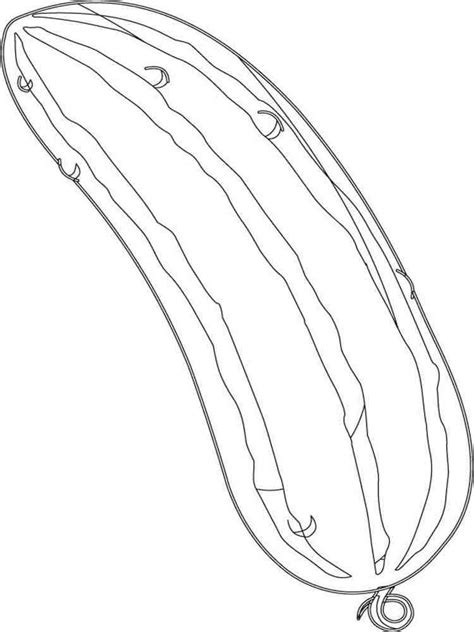 cucumber coloring pages   print cucumber coloring pages