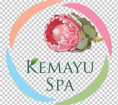 kemayu spa day spa beauty parlour hillcrest png clipart  la carte