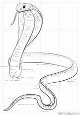 Cobra Kobra sketch template