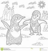 Young Stylized Penguins Zentangle Coloring Arctic Adult Antistress Background Preview sketch template