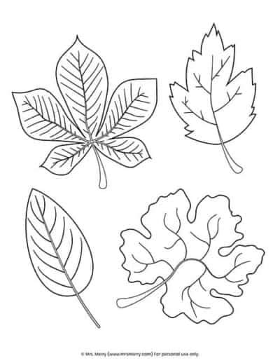 printable fall leaves coloring pages  merry