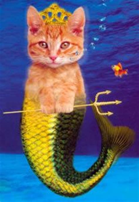 images  mermaid cats  pinterest catfish mermaids