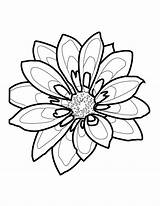 Outline Flower Outlines Drawing Flowers Drawings Simple Template Clipart Rainforest Spring Clip Templates Cliparts Library Line Colouring Designs Unique Plant sketch template