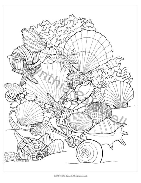 seashells coloring page instant    etsy