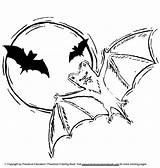 Pipistrelli Pipistrello Animate sketch template