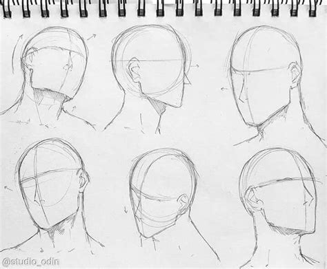 pin  abz  art art drawings head anatomy