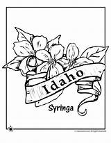 Idaho Woo Boise sketch template
