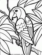 Burung Prasekolah Lembaran Aktiviti Haiwan Pulapah sketch template