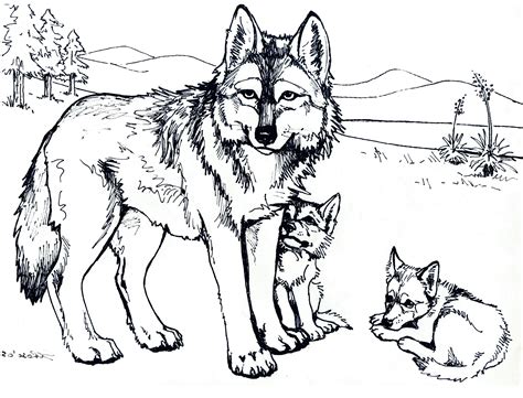 baby wolves coloring page page photo coloring home