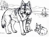 Coloring Pages Baby Wolf Print Wolves Popular sketch template