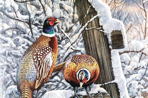 rosemary millette artist proof forgotten fenceline pheasants ebth