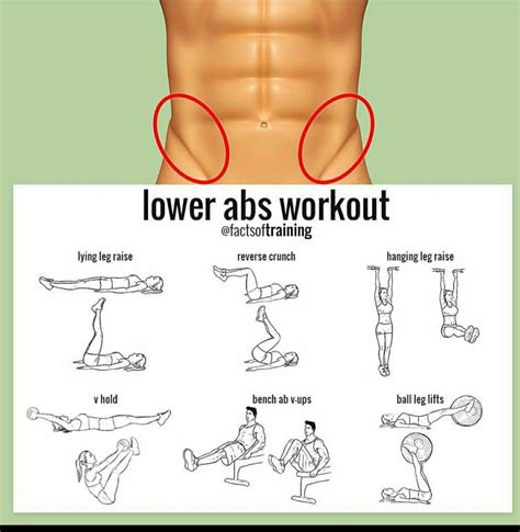 √ Lower Ab Workouts For Men