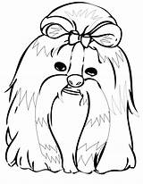 Tzu Shih Coloring Pages Dog Color Dogs Drawing Printable Kids Animal Handipoints Getdrawings Getcolorings Crayola Print Grooming Colouring Library Adult sketch template