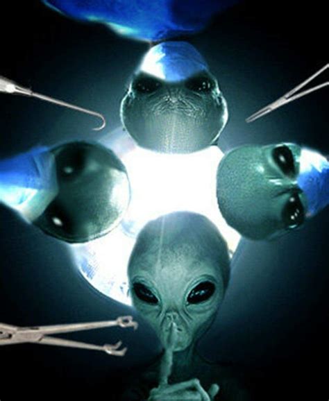 Pin By Leah Watterson On Abduction Grey Alien Alien Photos Alien