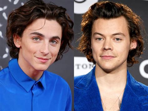 Snl Timothee Chalamet S Harry Styles Impression Delights Fans