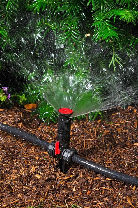 ground irrigation systems  landscaping diy