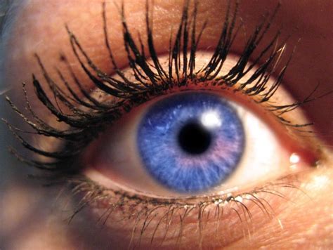 eye colors common and uncommon types rare eye colors