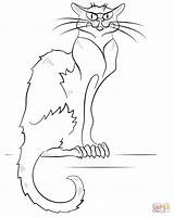 Coloring Cat Pages sketch template