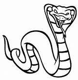 Cobra Coloring Venomous Longest sketch template