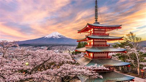 disfruta la cultura japonesa hospedate en el monte fuji igs international guide service