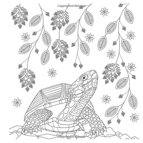 coloring pages animals national geographic