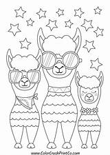 Llamas Alpacas sketch template