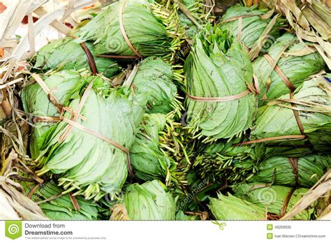 betel nut leaves stock image image  culture asia