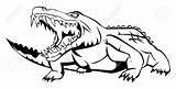 Alligator Crocodile Coccodrillo Aligator Getdrawings Sobek Antico Disegnare Horns Clipartmag Nile Egyptian Corni Cranio Dio Egiziano Fiume Nilo sketch template