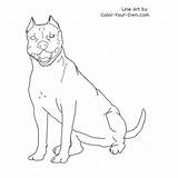 Staffordshire Terrier Dane Amstaff sketch template