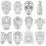 Coloring Skull Pages Adult Sugar Printable Library Clipart Popular Coloringhome Comments sketch template