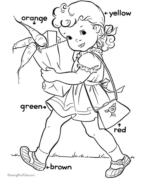 learn colors  preschool  coloring books coloring pages