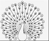 Peacock Outline Drawing Coloring Flower Pages Beautiful Feathers Inspirational Feather Getdrawings Mandala Indian Kids Printable Arts Easy sketch template