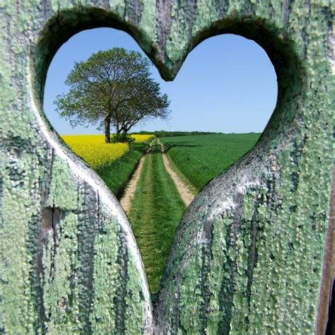 coeur chemin arbre colza jean goepfert flickr