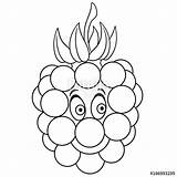 Raspberry Getdrawings Drawing sketch template