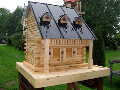bird house kits  build